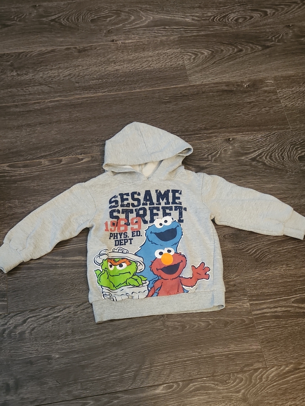 Sesame Street Gray Kids Hoodie with Character Print 3T